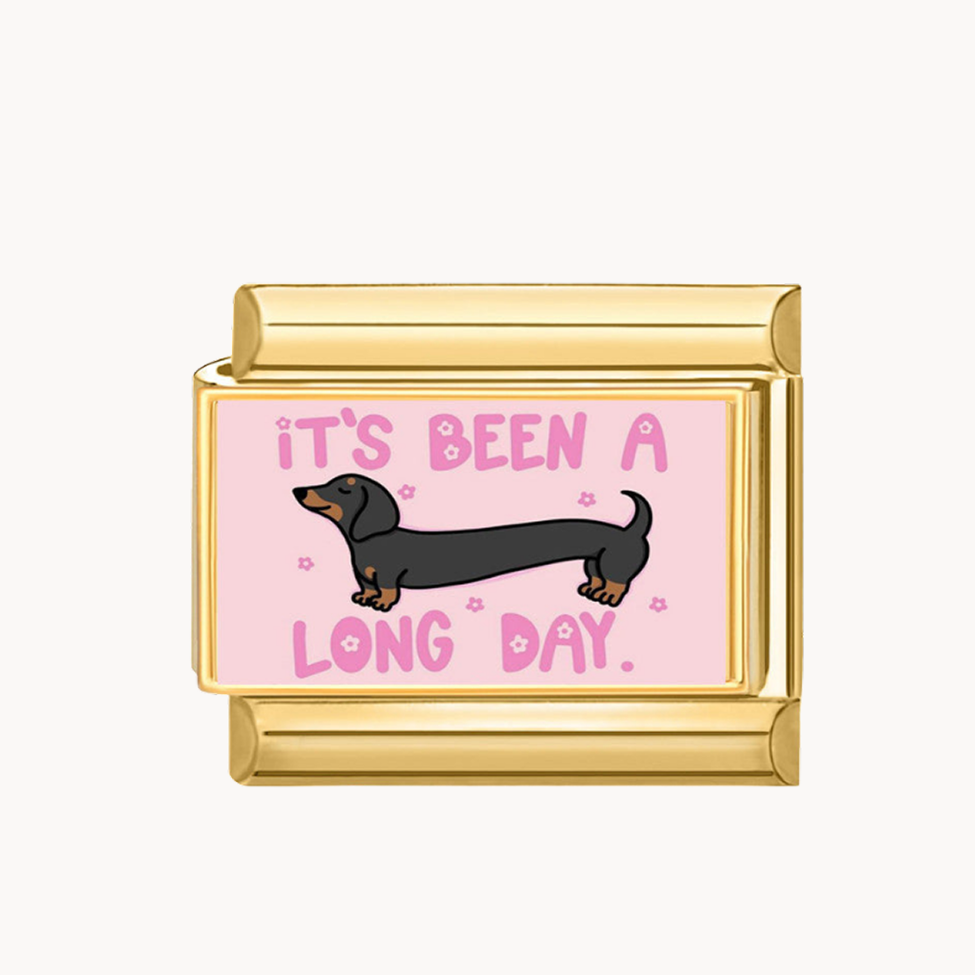 LONGUE JOURNEE TECKEL